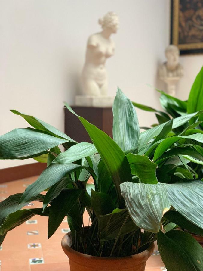 Angeles House Apartment Seville Luaran gambar
